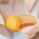 ランベリー ナオト キシモト - Mar, 2014 