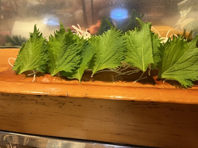 Omokage Zushi Ooizumi Shiten photo 5