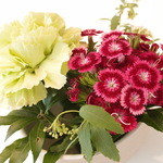 ランベリー ナオト キシモト - Mar, 2014 