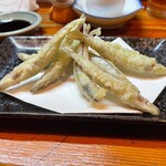 居酒屋 盛 - 