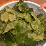 南粤美食 - 生の田七