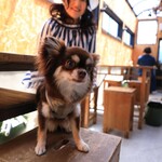 グラニーズバーガー - テラスはわんこ同伴OK