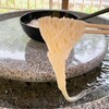 昇仙峡 渓流 流しそうめん・ほうとう 円右衛門