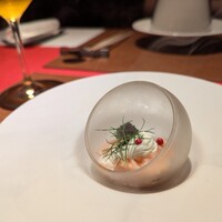 鉄板焼き 表参道 - 