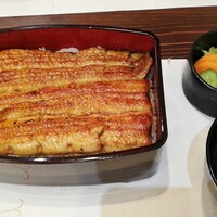 入谷鬼子母神門前のだや -  入谷鬼子母神門前のだや -