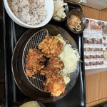 札幌ザンギ本舗 札幌駅北口店 - 