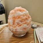 レクランスリール - 