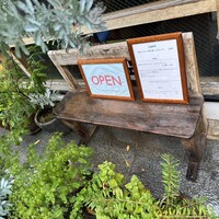 セルサルサーレ - 