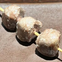 YAKITORI 燃 es - 