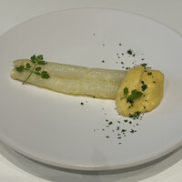 Loiseau de France - 