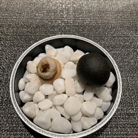 しまなみふれんち Murakami - 