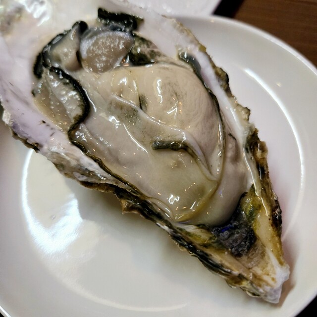 ANIVA（アニバ） - 本八戸（バル）の写真