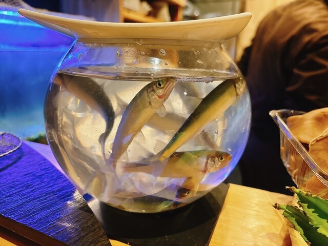 Tempura daiju photo 5