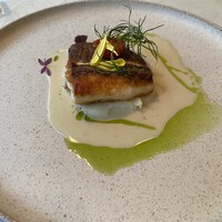 tcc GINZA - 