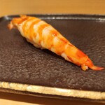 鮨まつもと - 車海老