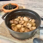 XIRINGUITO Escriba - 