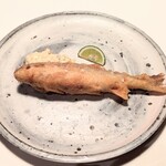 イル・ジョット - 