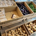 キラナガーデン豊洲 - 