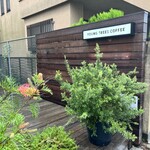 ヤングツリーズコーヒー - 
