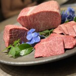 USHIGORO S. SHINJUKU - 