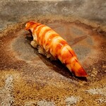 鮨 奥 - 家人の車海老 紅白のストライプがおめでたい