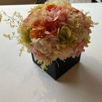 アランチーノ KYOTO - 