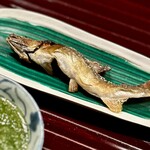 多仁本 - ■若鮎の塩焼き
      長野県の天竜川から。時期的にまだ小ぶりですが、その分、骨も柔らかく、フレッシュな身の甘さや肝の苦味に好感が持てます。