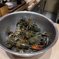 霜止出苗 - 