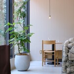 moderato on the green - 