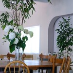 moderato on the green - 