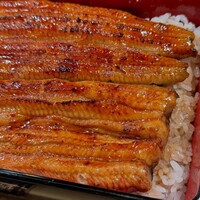 うなぎ 目白ぞろ芽 - 