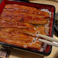 うなぎ 目白ぞろ芽 - 