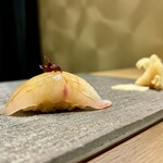 名駅 鮨 天野 - カンパチ