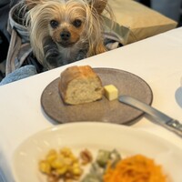 レストラン アルティザン（restaurant Artisan） - 