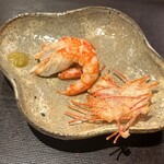 鮨菜 和喜智 - 北海厚岸　縞海老　煎餅