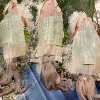 割烹 かじ 本店 - 