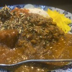 ヌードル＆スパイスカレー 今日の1番 - 本日のカレー(ポークとサバのあいがけ) サバ部分