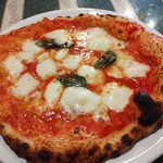 マッシモッタヴィオ - マルゲリータ