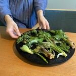 ヴェンティノーヴェ - 