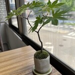 彩盆の間 - 窓際で外を見ながら頂けます