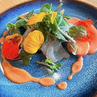 anchoa - 