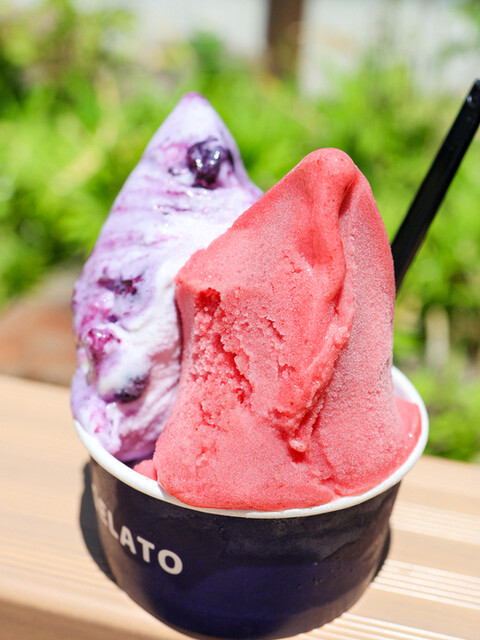 &Tomiya Gelato（アンド トミヤ ジェラート） - 富谷町その他（ジェラート・アイスクリーム）の写真