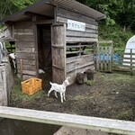 中沢工房 ヤギさんの家 - 