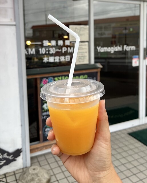 Yamagishi Farm Nagoya Ten photo 4