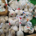 フレッシュ・クラブ - 