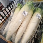 フレッシュ・クラブ - 