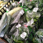 フレッシュ・クラブ - 