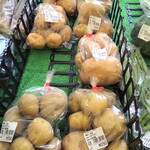 フレッシュ・クラブ - 