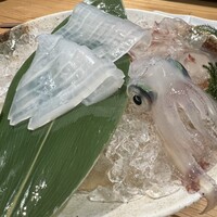 鯖とか烏賊とか真とか - 