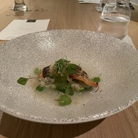 SCALAE - 